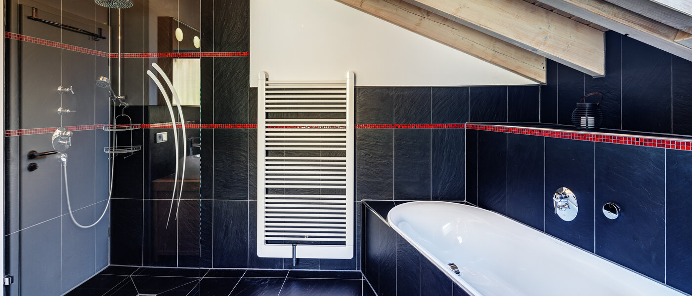 appartement sous les toits Tegernsee 05 salle de bain 13299