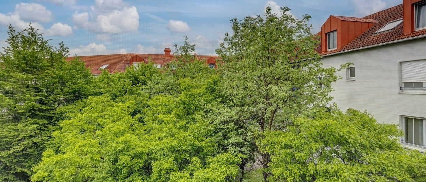 appartement Poing 02 vue 13482