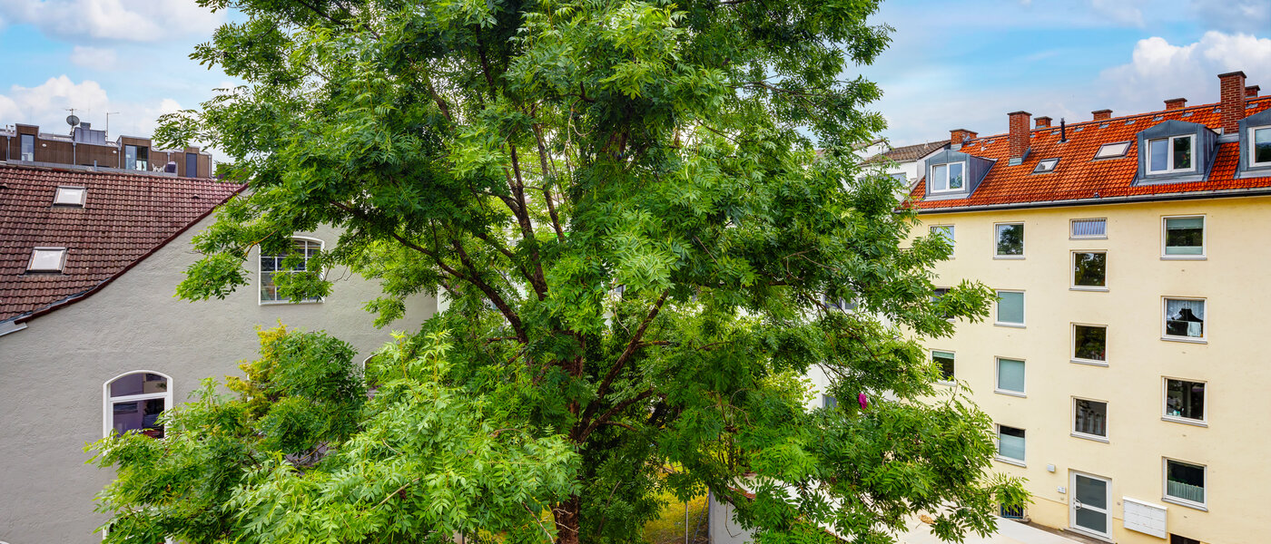 appartement München Milbertshofen 01 vue 13553