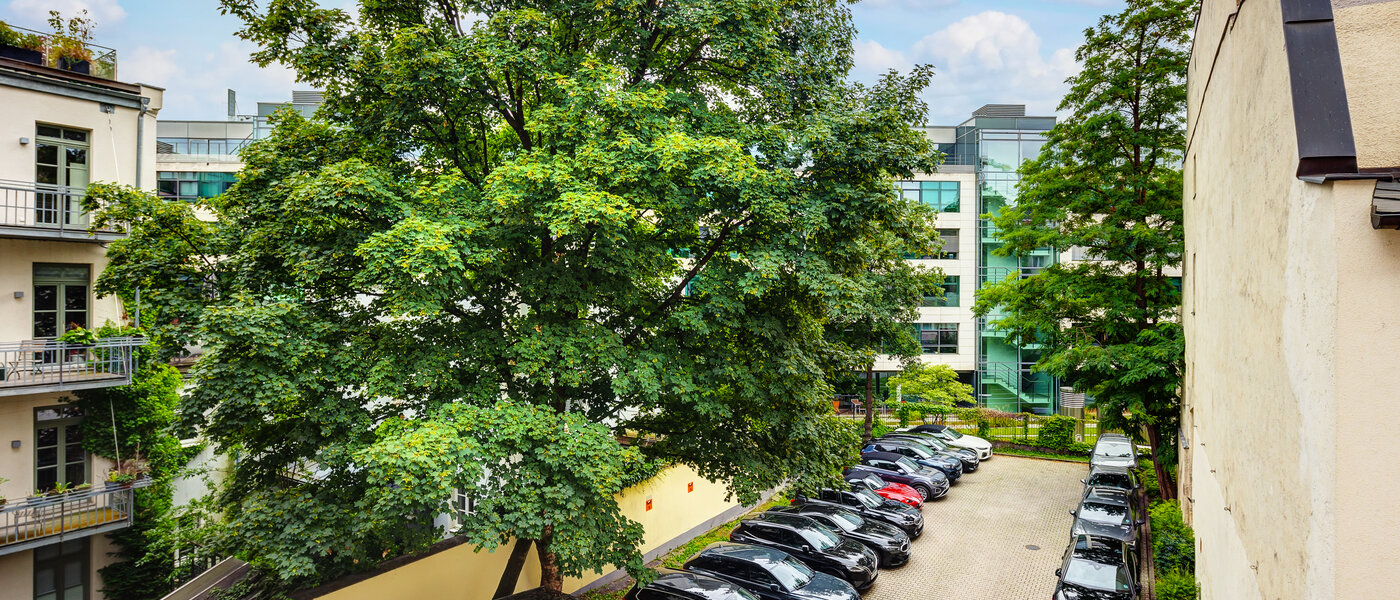 appartement München Lehel 03 vue 13583