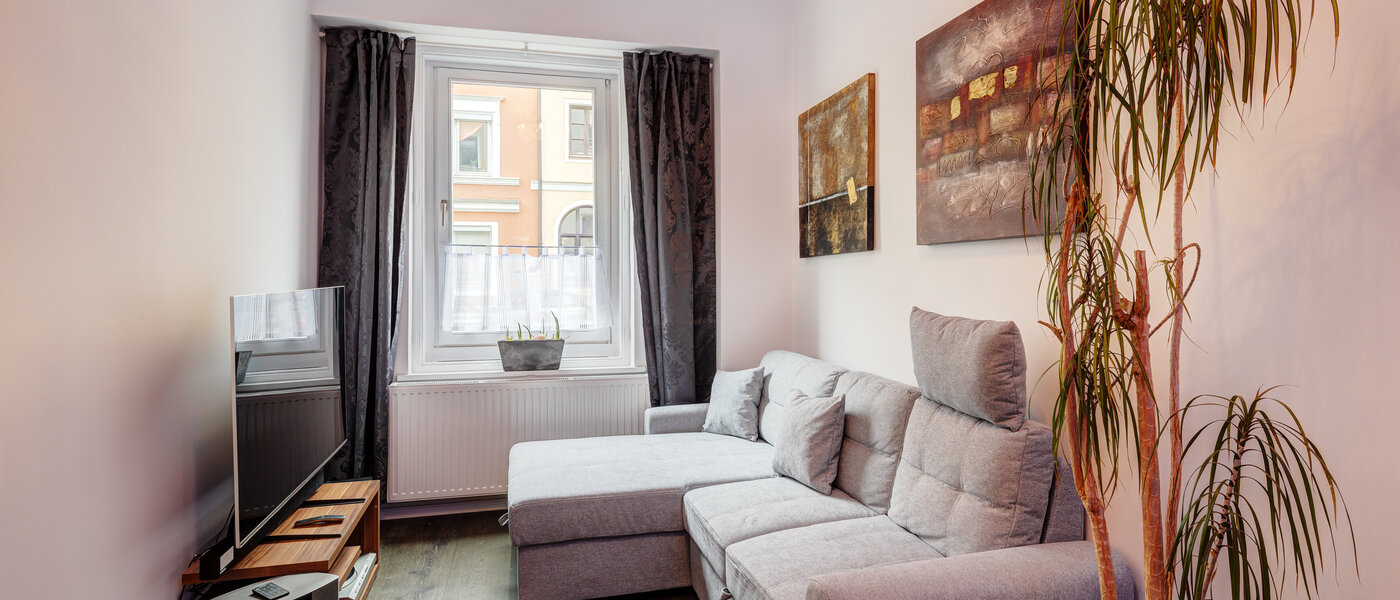 appartement München Mittersendling 01 pièce à vivre 13595