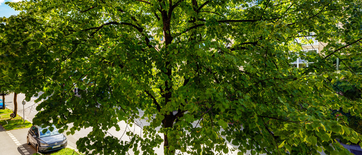 appartement München Milbertshofen 02 vue 13602