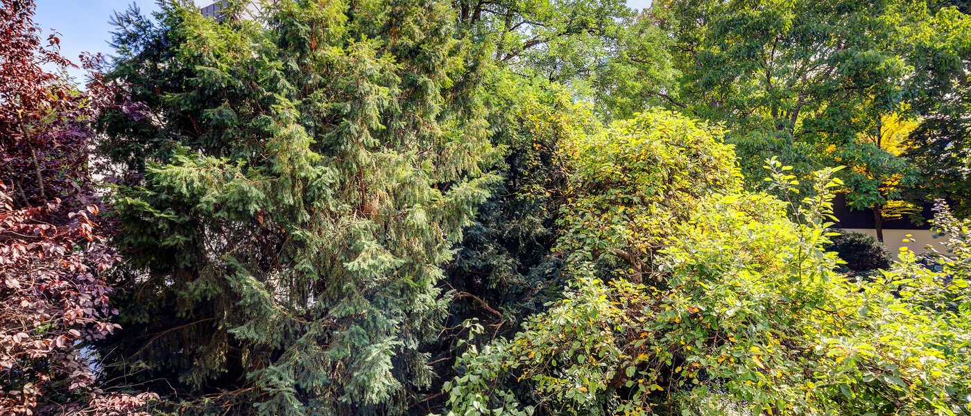 appartement München Altbogenhausen 04 vue 13633