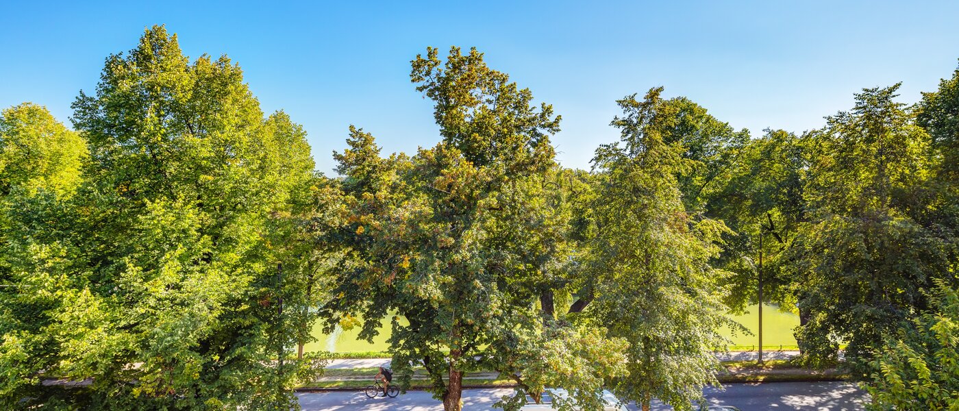 appartement sous les toits München Nymphenburg 01 vue 13654