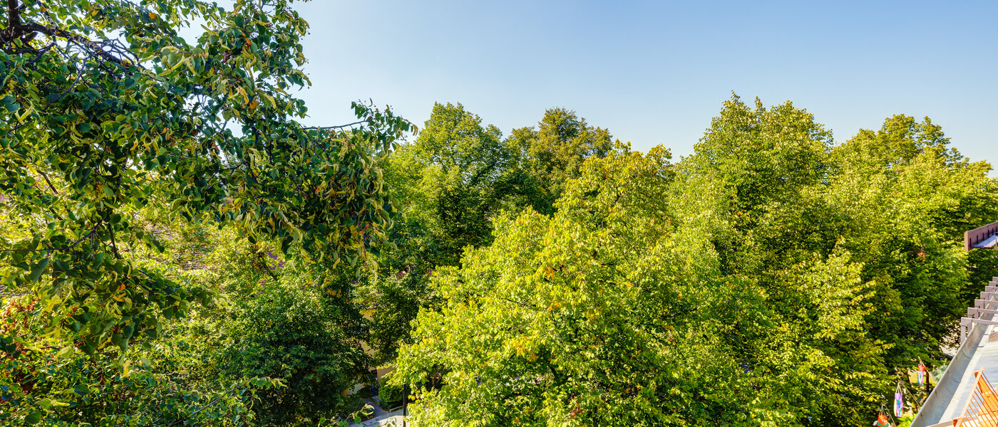 appartement avec terrasse sur le toit München Ramersdorf 04 vue 13657