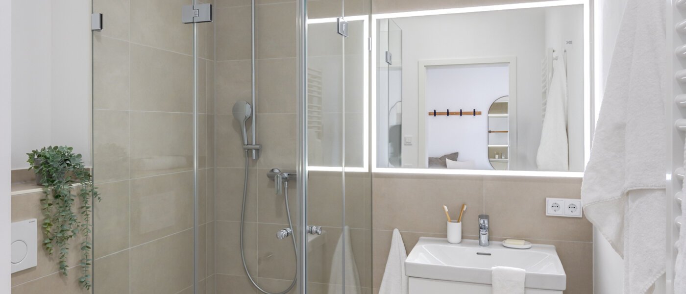 appartement sous les toits Haar 01 salle de bain 13695