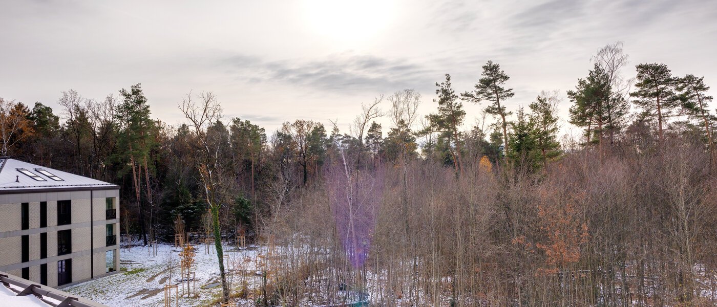 appartement sous les toits Haar 01 vue 13695