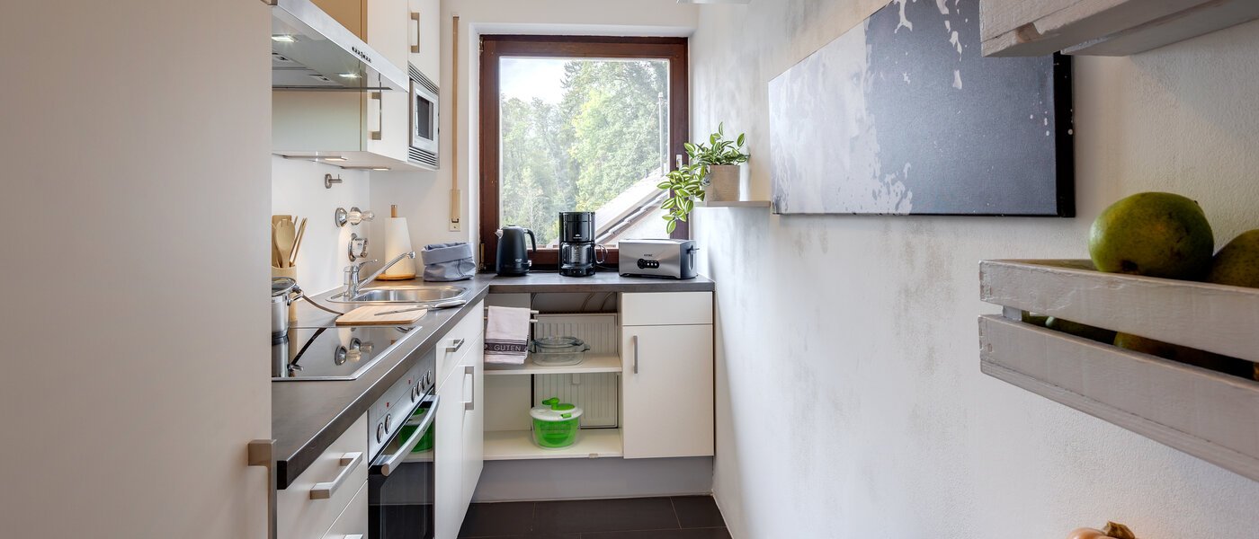 appartement sous les toits Eching 01 cuisine 13716