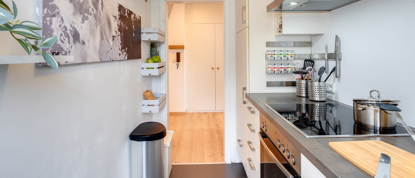 appartement sous les toits Eching 02 cuisine 13716