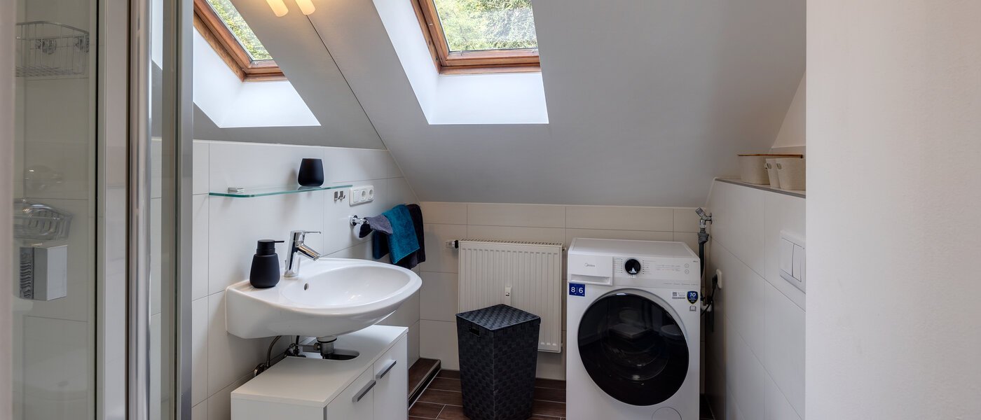 appartement sous les toits Eching 01 salle de bain 13716