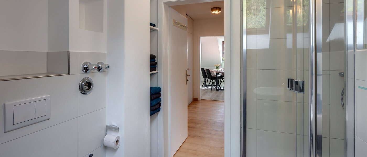 appartement sous les toits Eching 02 salle de bain 13716