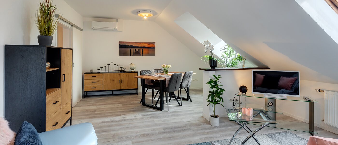 appartement sous les toits Eching 03 pièce à vivre 13716