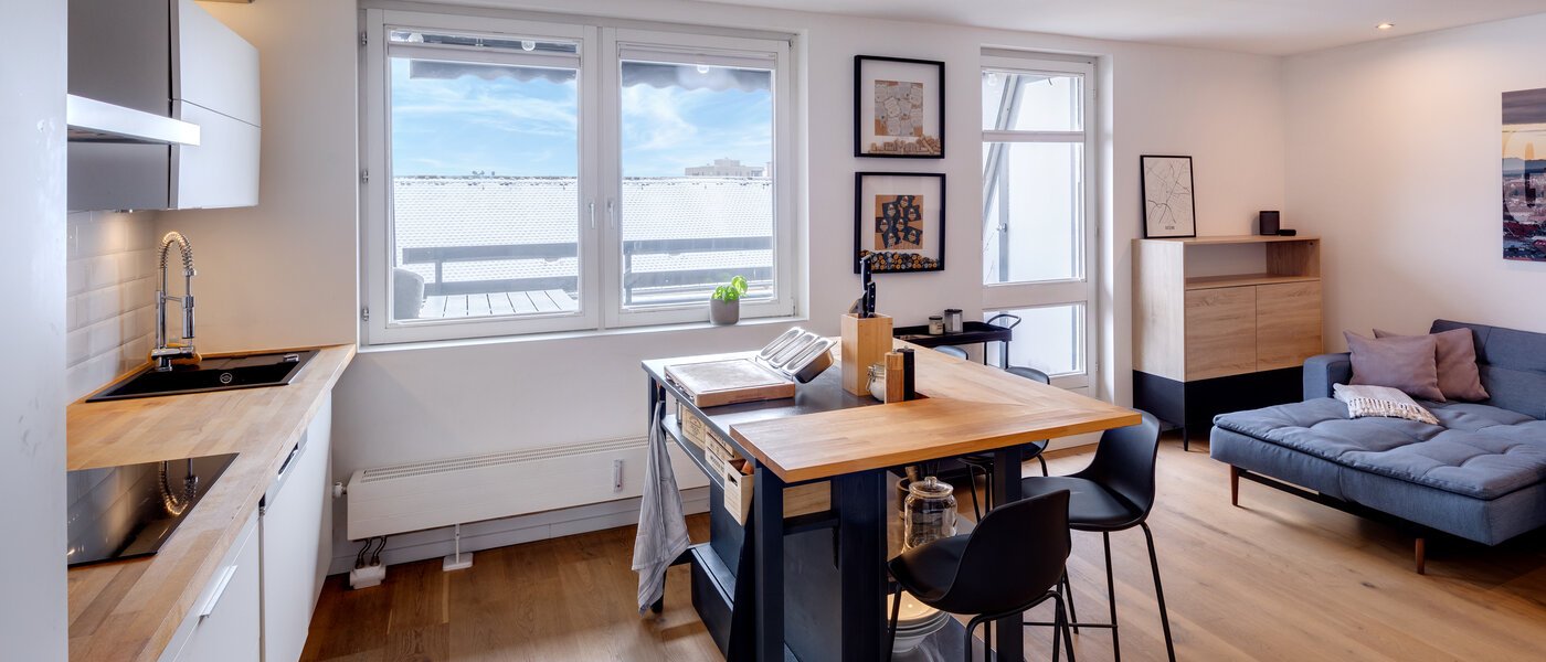 appartement avec terrasse sur le toit München Obergiesing 05 pièce à vivre 13824