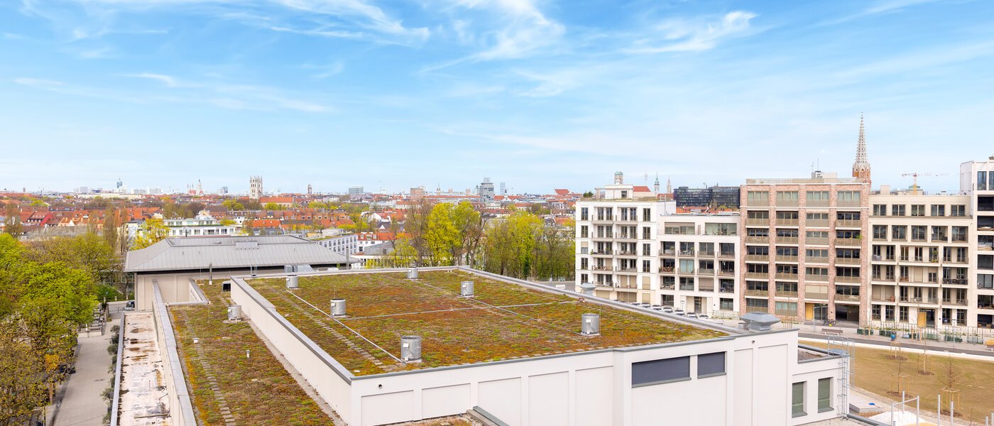 appartement München Haidhausen 02 vue 13881