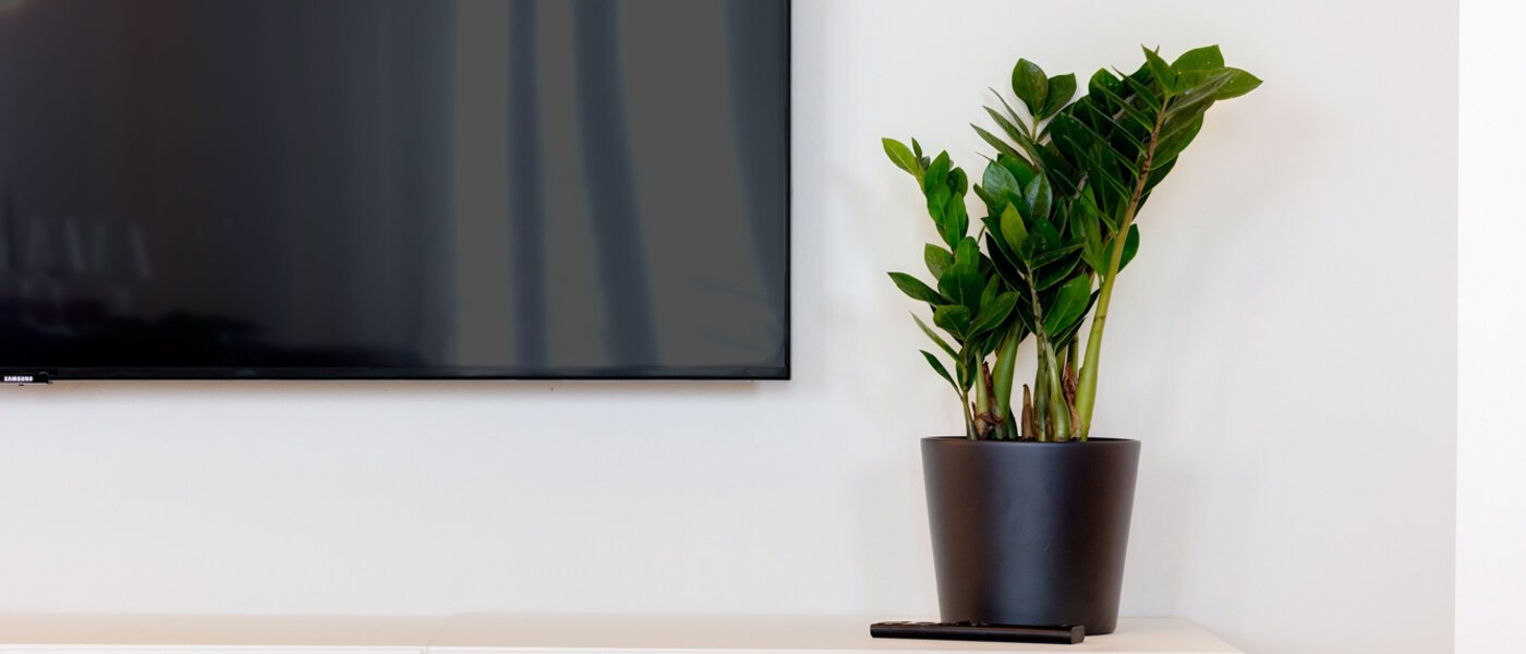 appartement München Haidhausen 04 pièce à vivre 13881