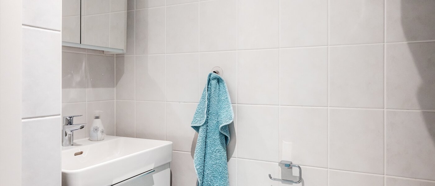 appartement Gmund am Tegernsee 03 salle de bain 13882