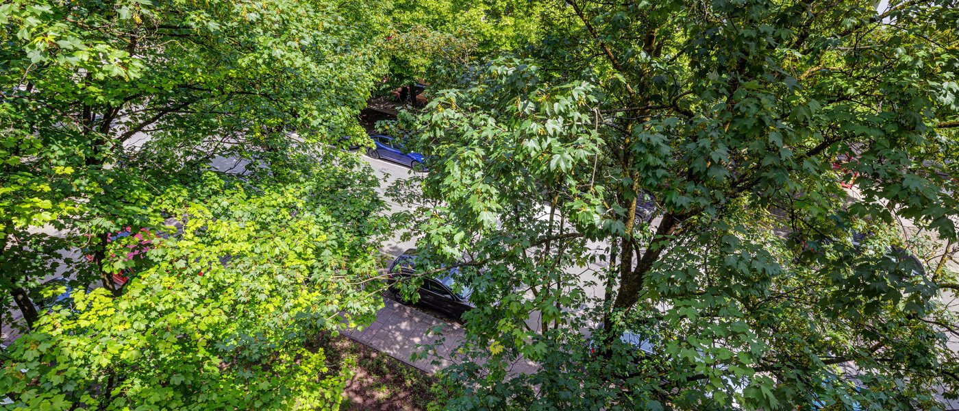 appartement München Lehel 02 vue 13986