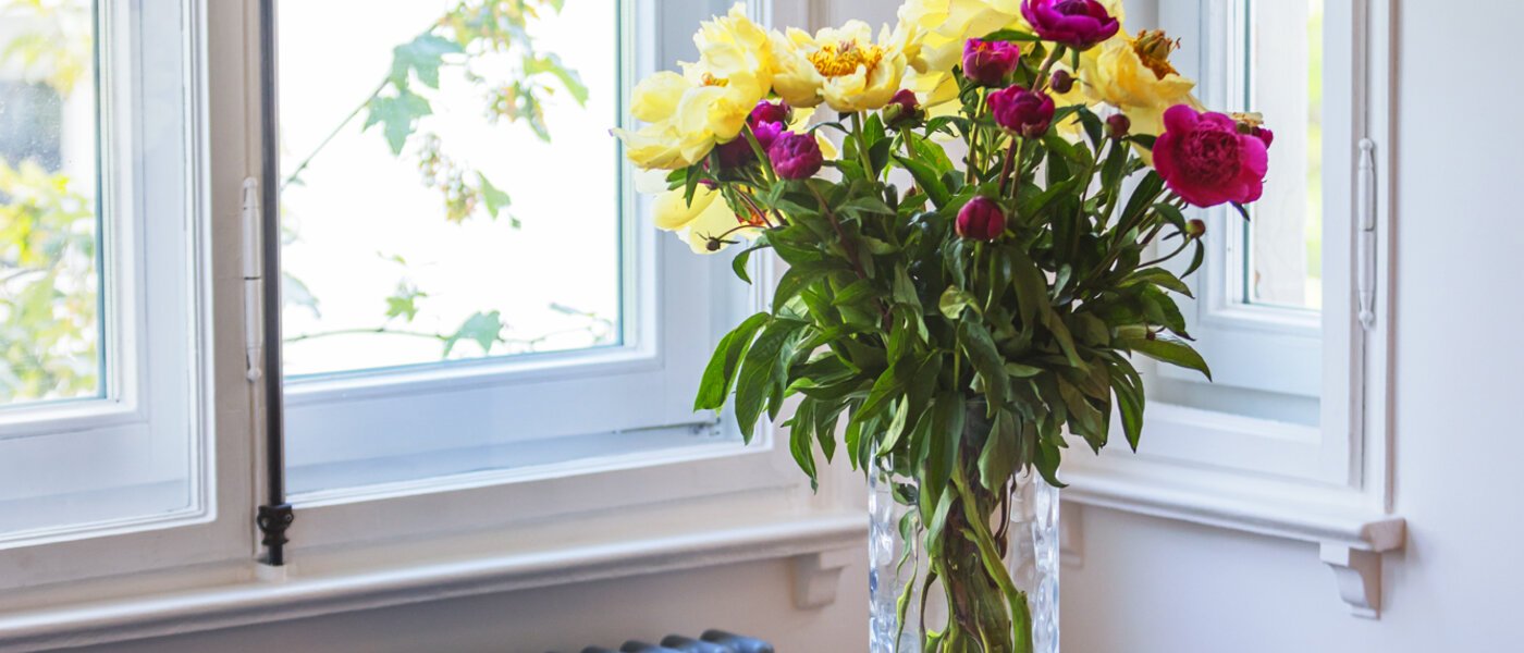 appartement München Lehel 02 pièce à vivre 13986