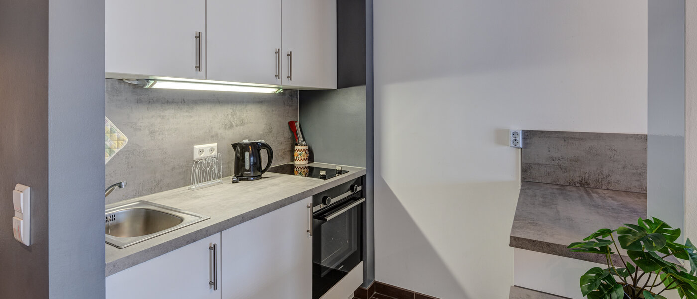 appartement München Ludwigsvorstadt 02 cuisine 14032