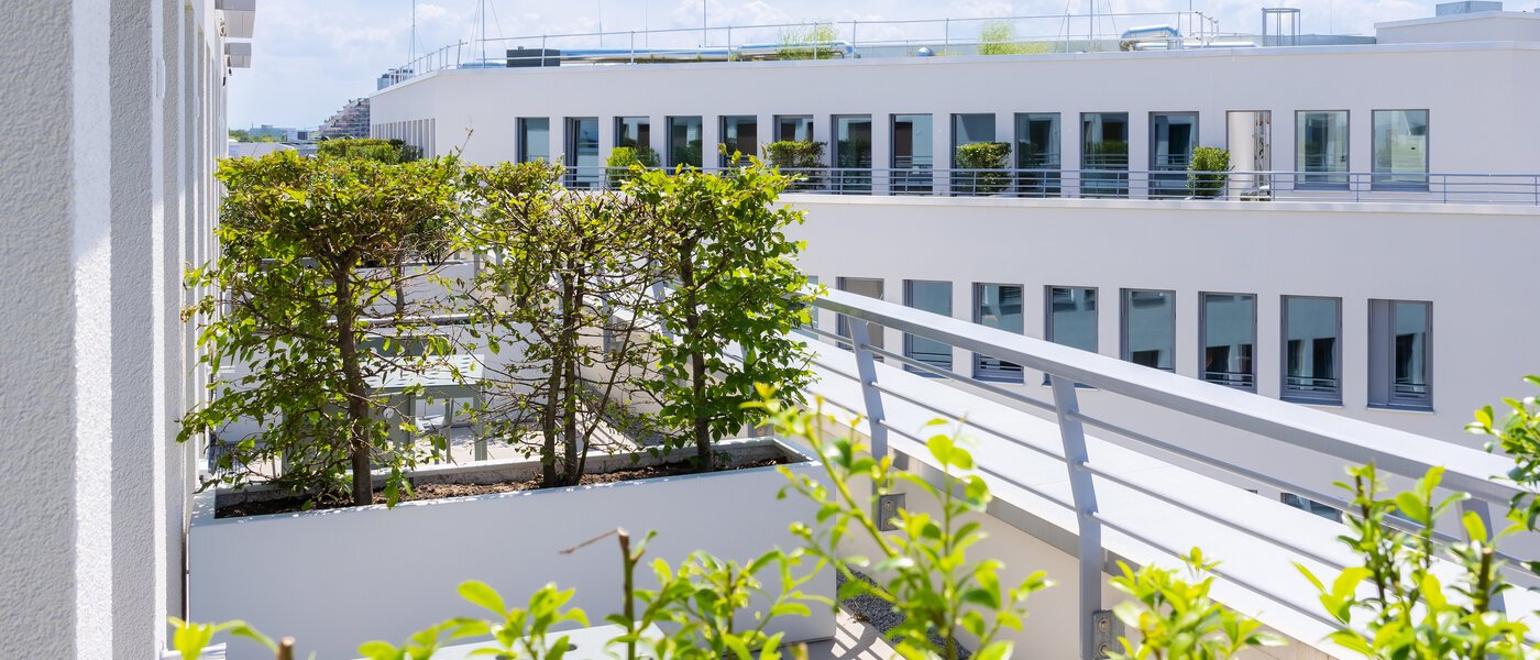 studio Unterföhring 02 terrasse sur le toit 14034