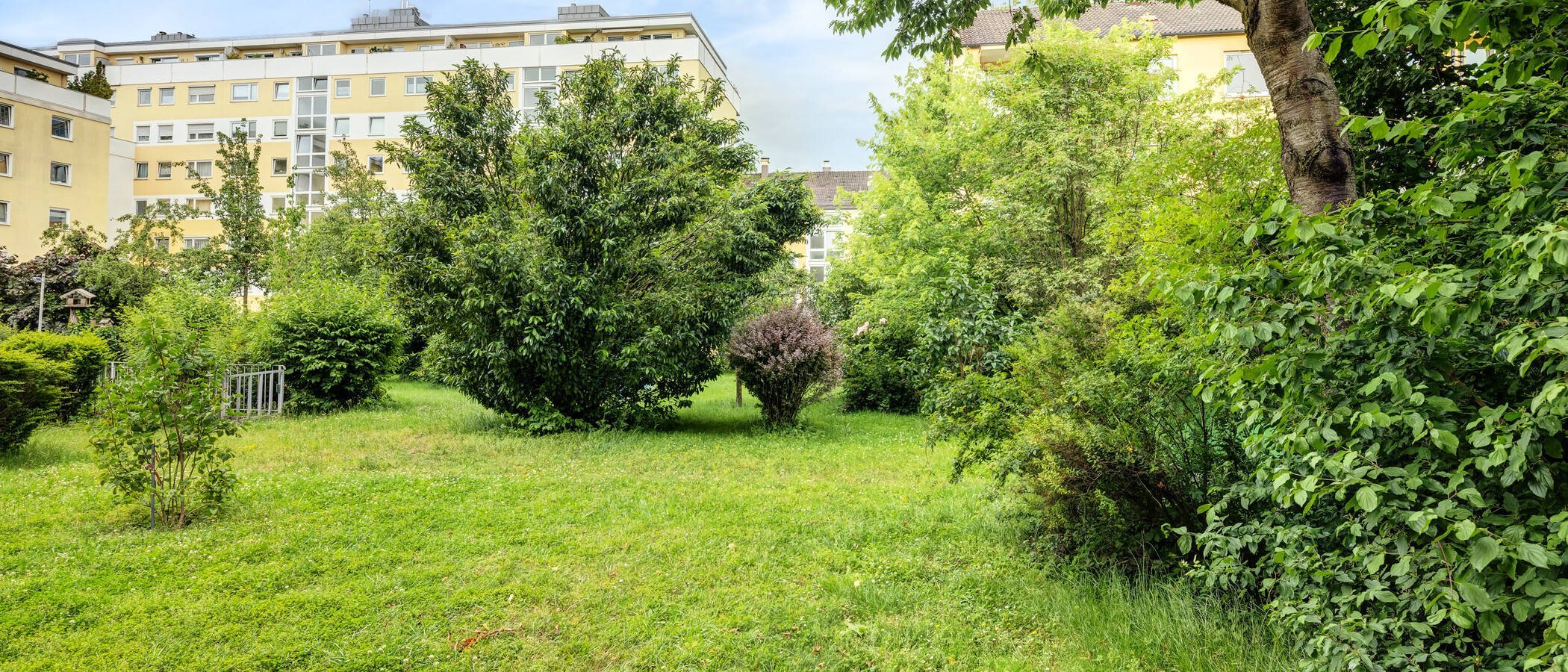 appartement München Obergiesing 01 vue 14038