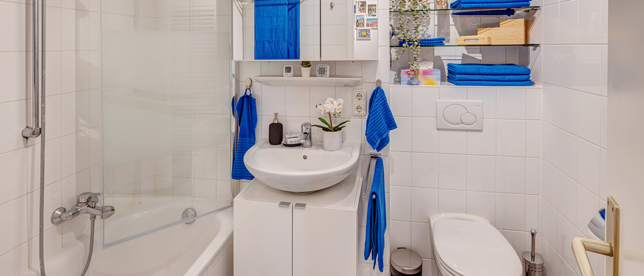 appartement München Lehel 01 salle de bain 14040