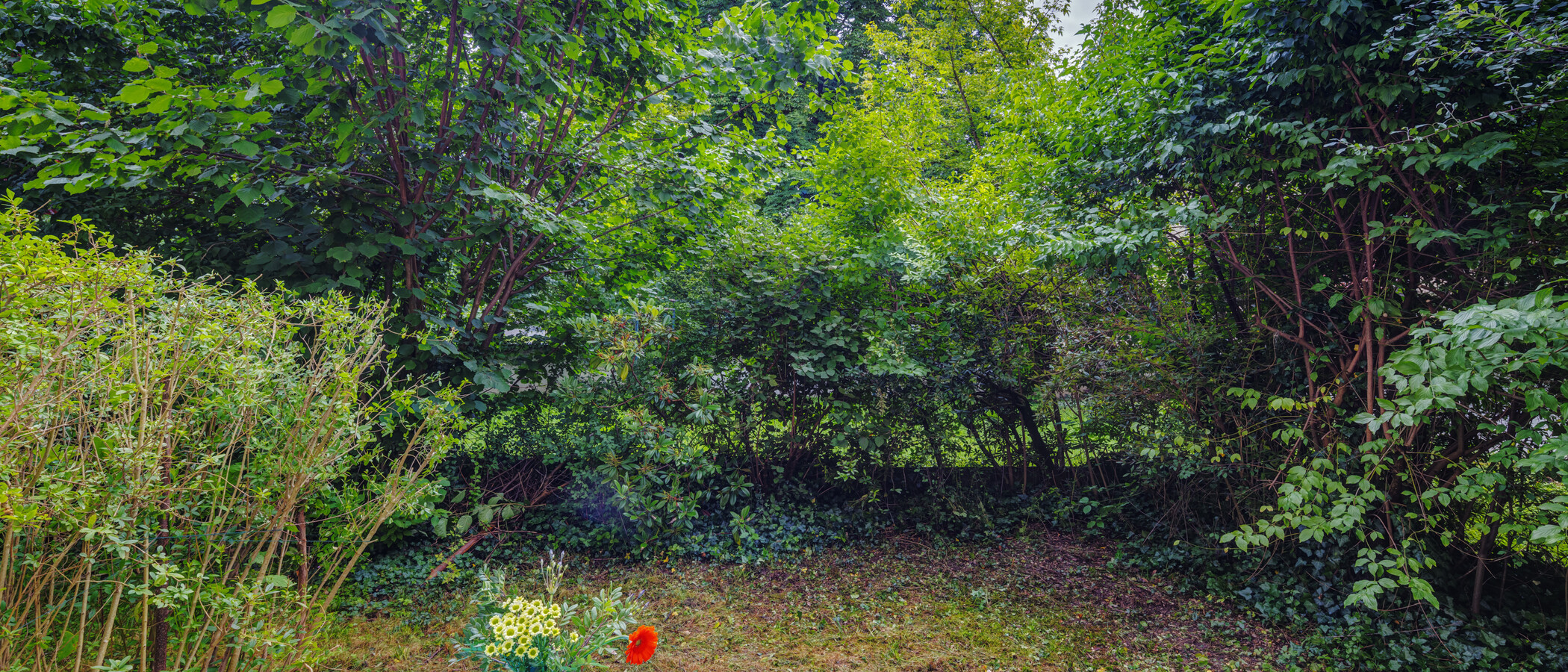 studio München Schwabing 03 jardin 14061
