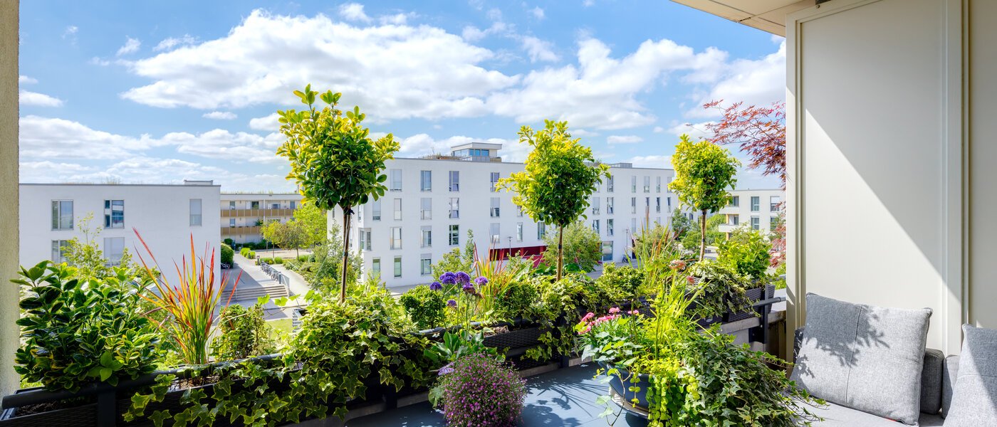 Désolé, cet objet est déjà loué