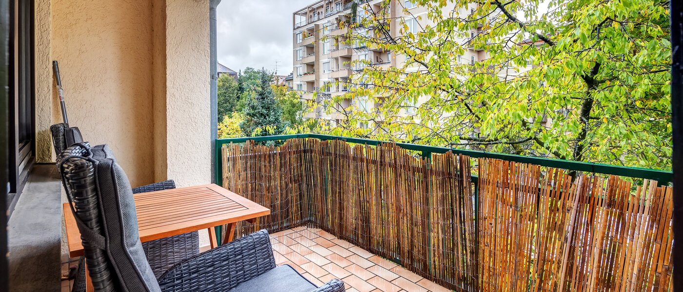 appartement München Maxvorstadt - Rund um den Josephplatz 02 balcon 14151