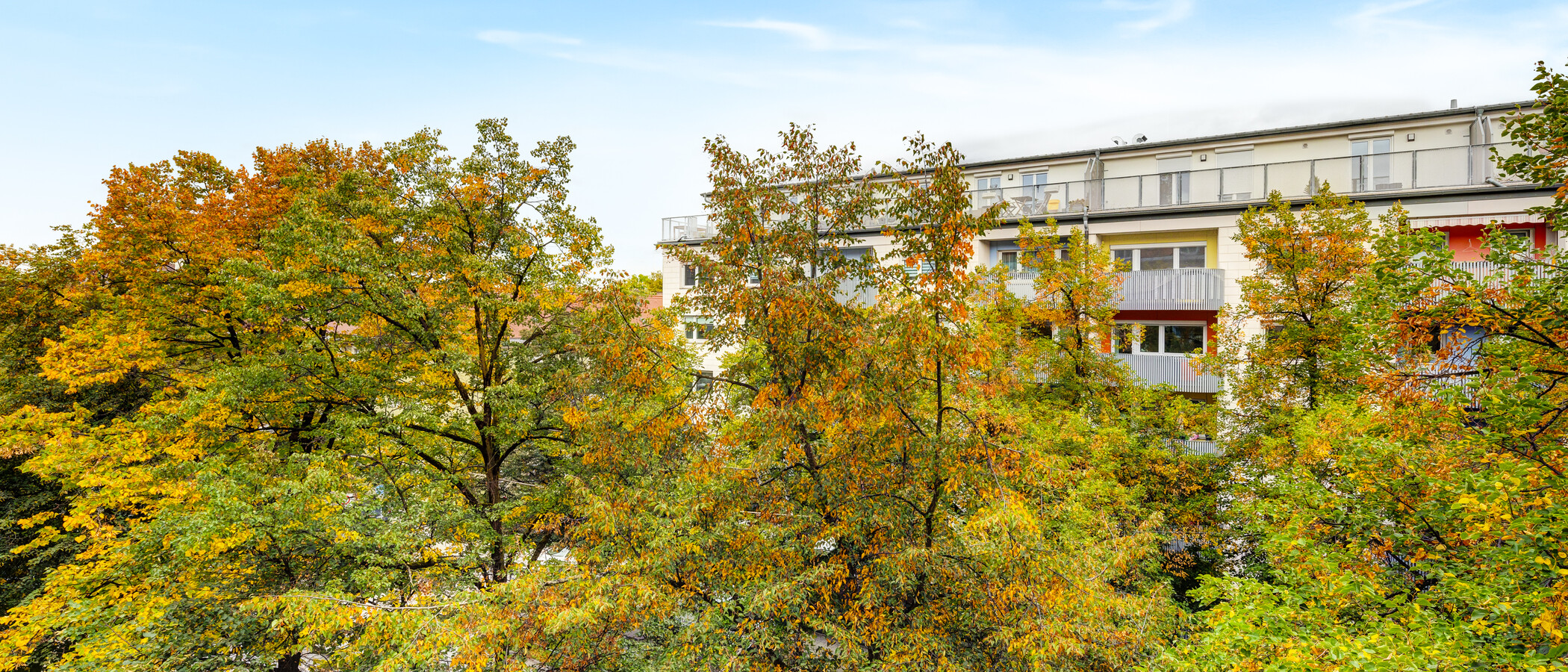 appartement München Bogenhausen 03 vue 14181
