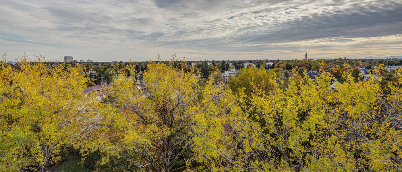 appartement München Parkstadt Solln 02 vue 14205