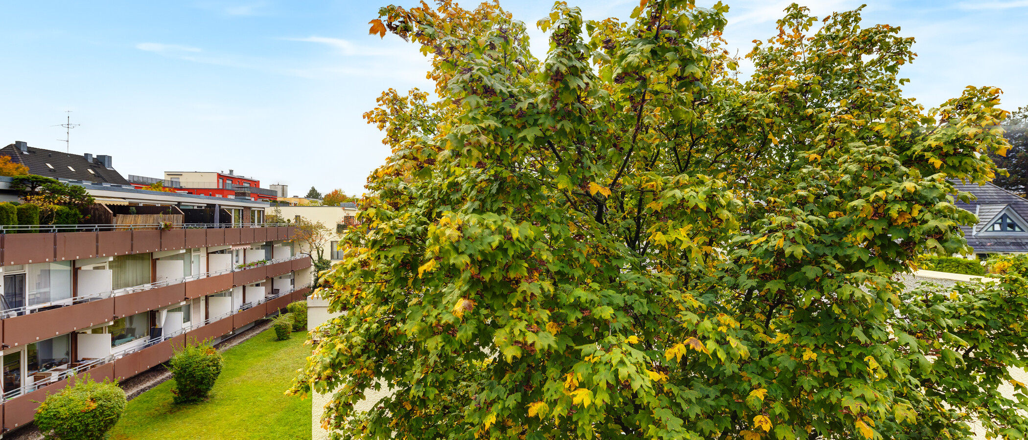 appartement avec terrasse sur le toit München Großhadern 02 vue 14211