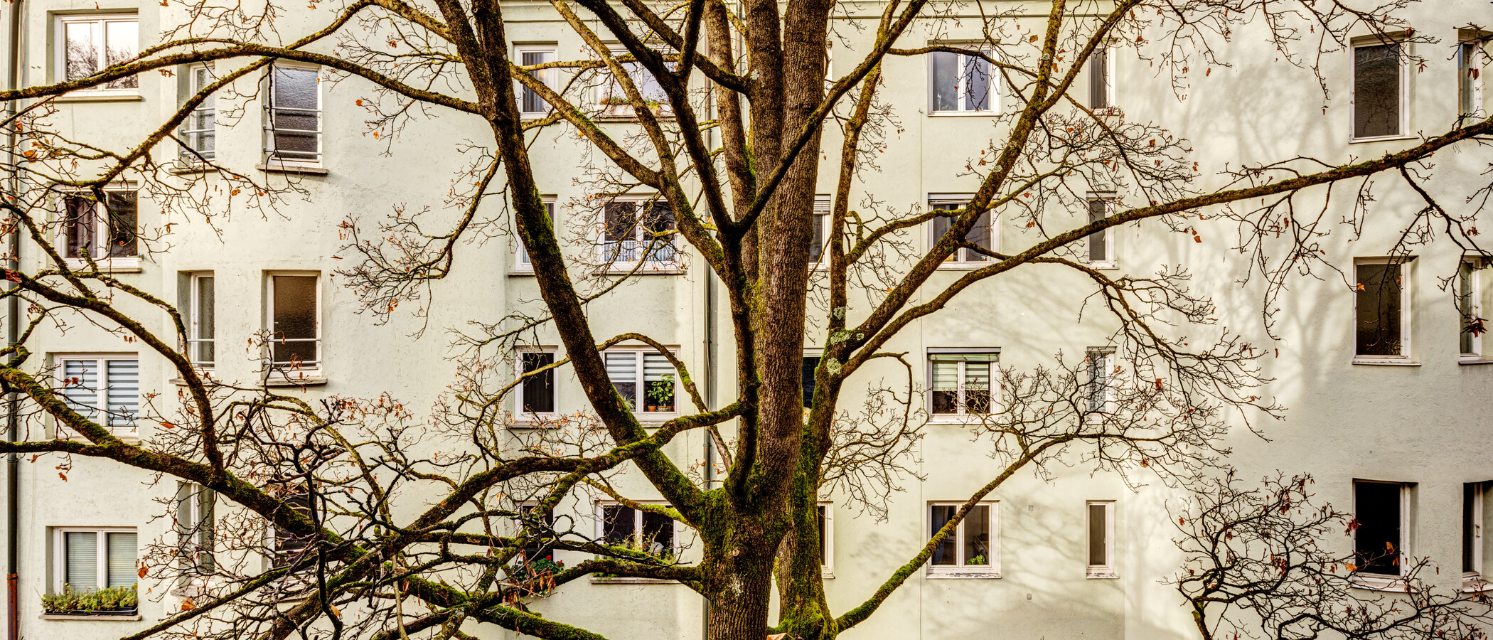 appartement München Lehel 04 vue 14254
