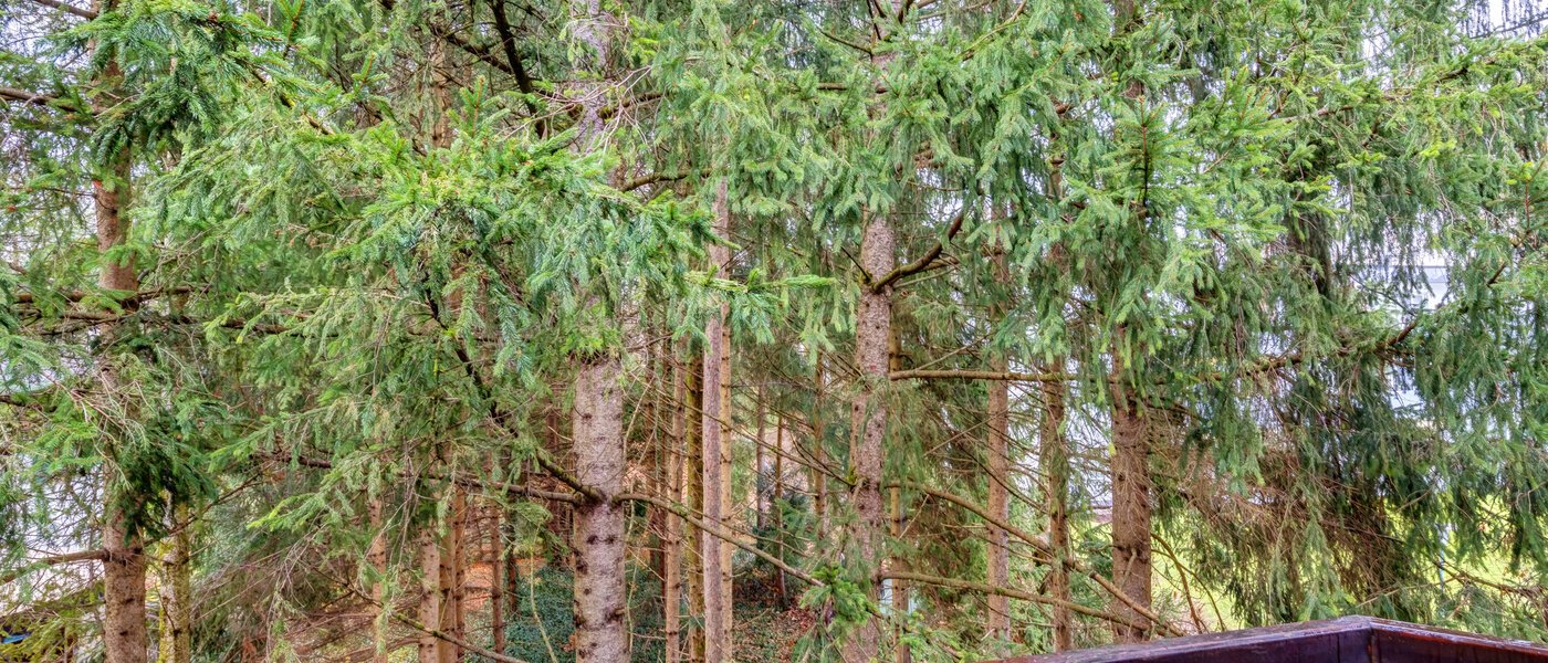 appartement Ottobrunn 01 vue 14267