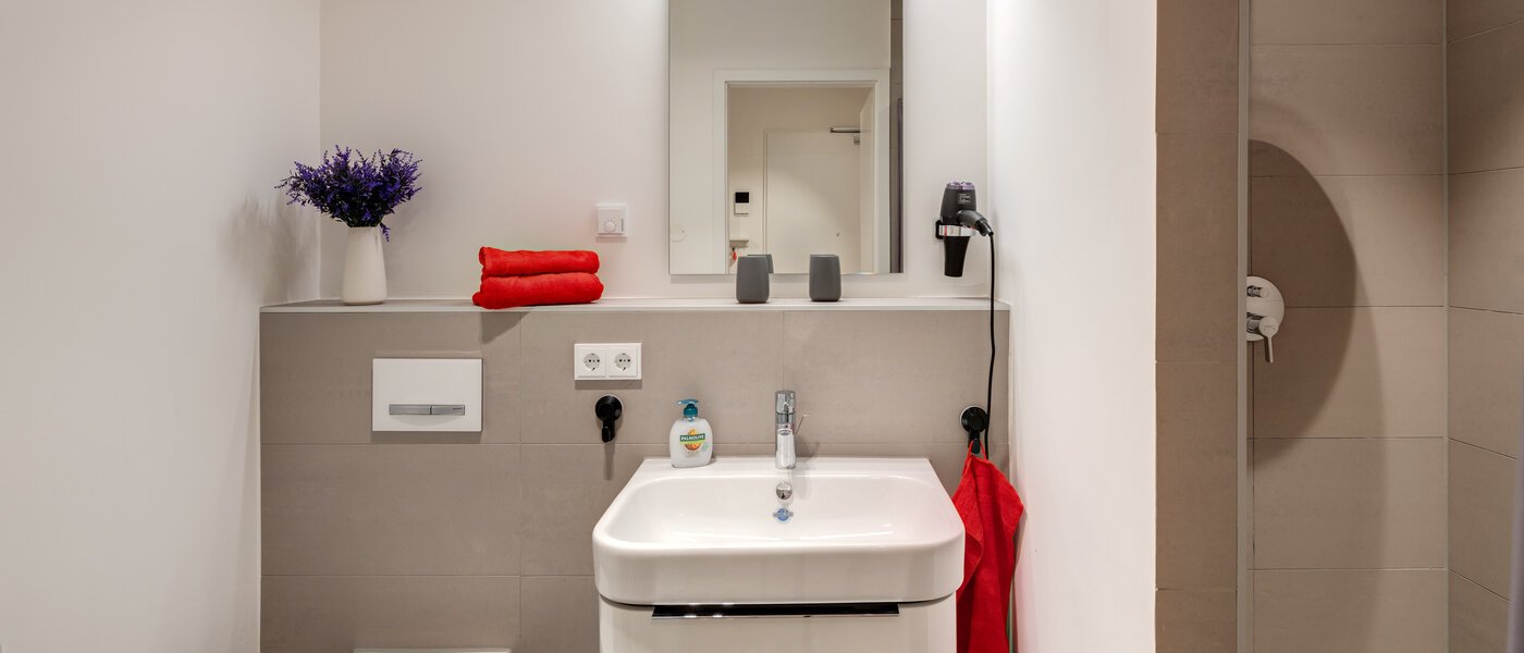 appartement München Harlaching 01 salle de bain 14313