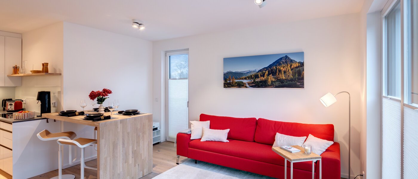 appartement München Harlaching 01 pièce à vivre 14313