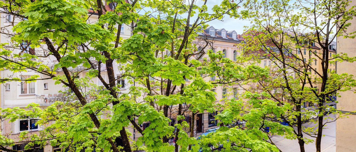 studio München Maxvorstadt 02 vue 14371