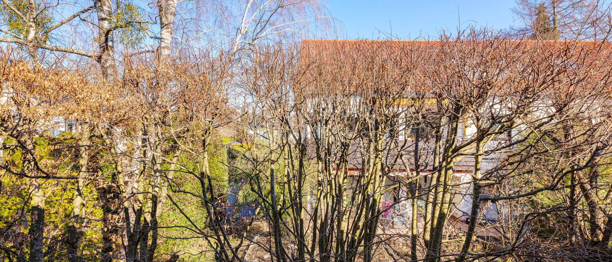 maison mitoyenne Pullach im Isartal 05 vue 14381
