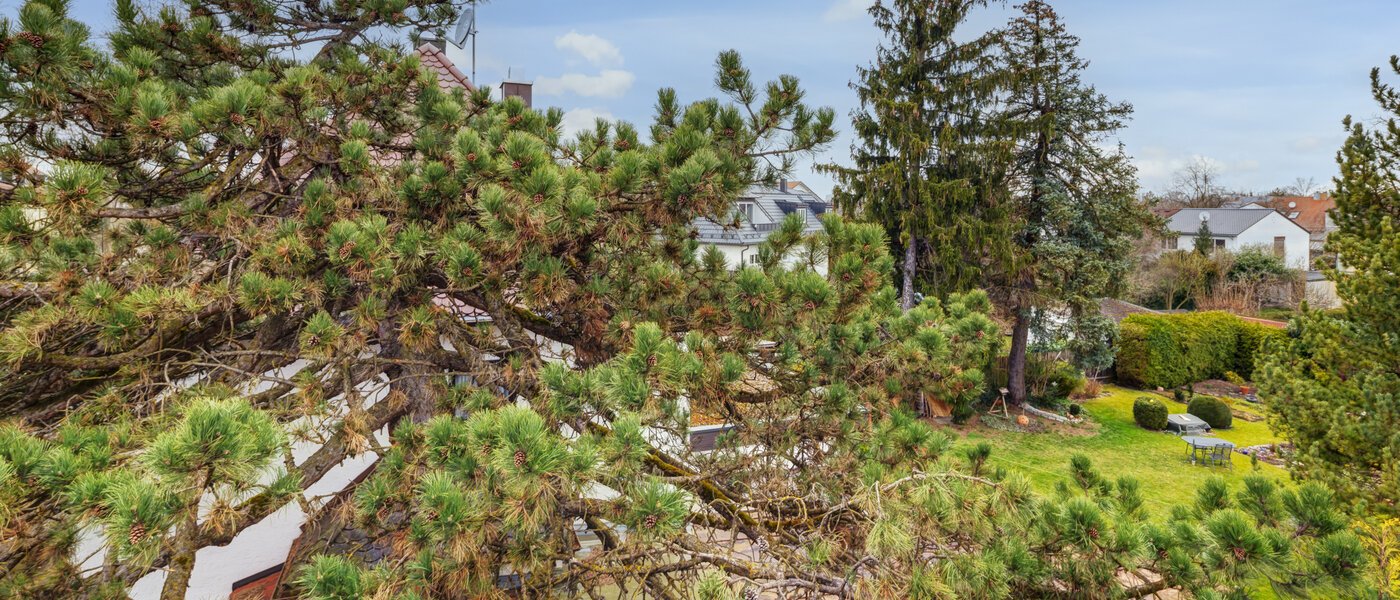 maison individuelle München Daglfing 03 vue 14387