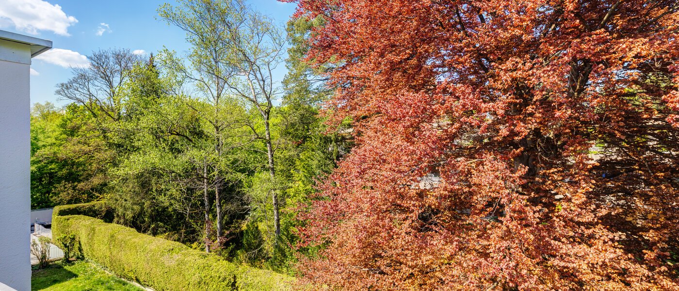 appartement avec terrasse sur le toit München Solln 03 vue 14396