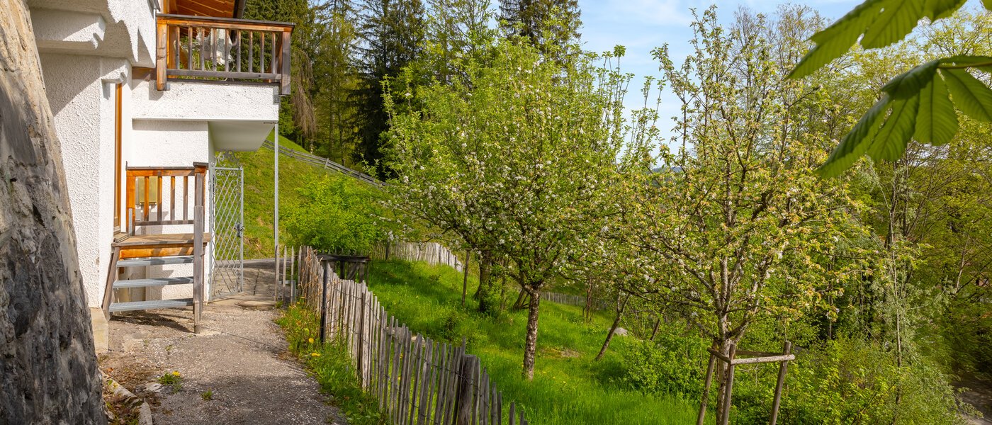 villa Bad Wiessee 04 jardin 14436