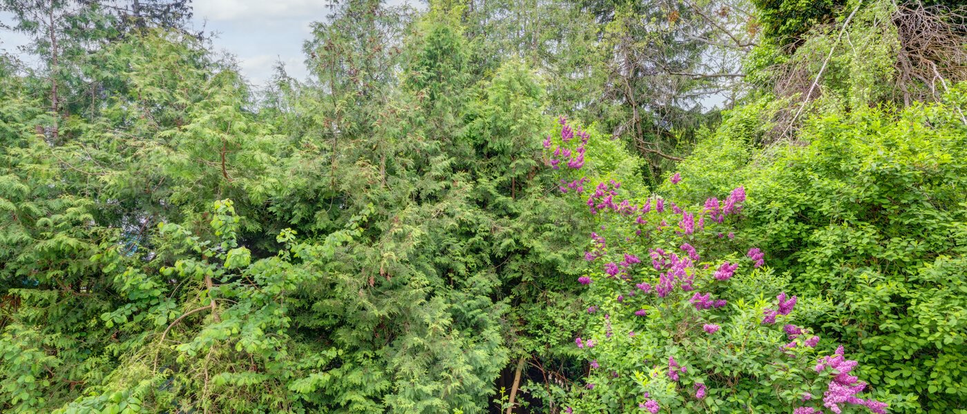 appartement München Thalkirchen 01 vue 14439