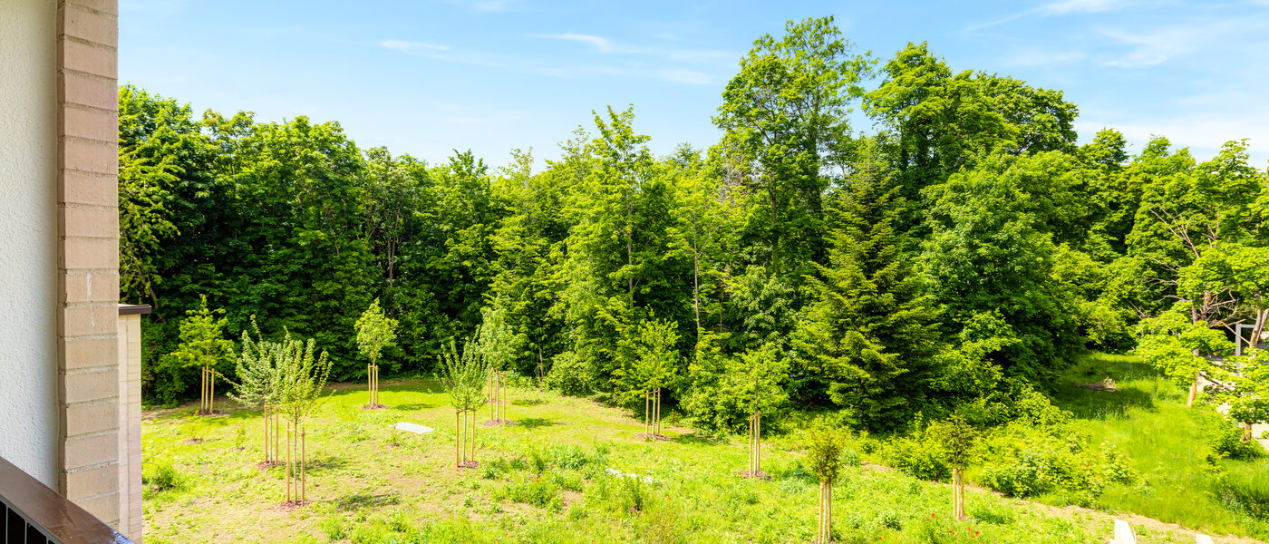 appartement Haar 01 vue 14460
