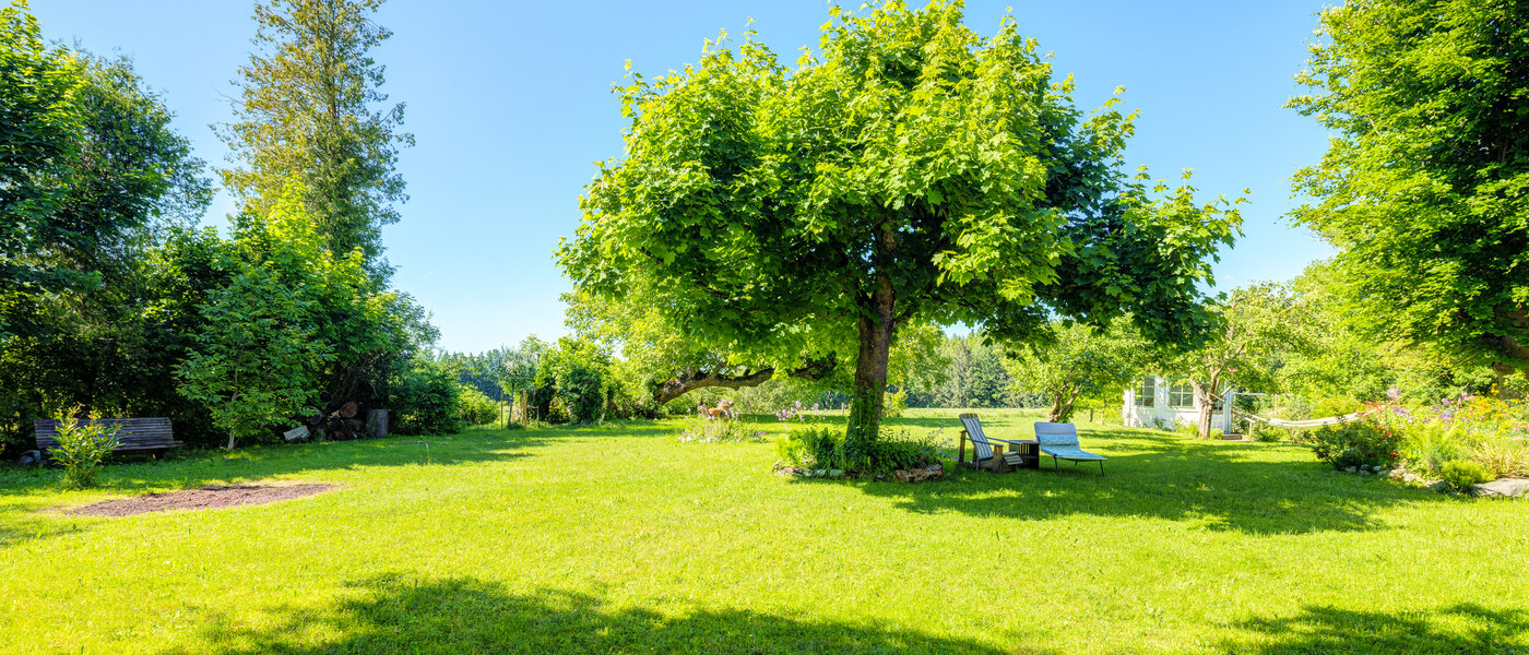 maison mitoyenne Icking 02 jardin 14465