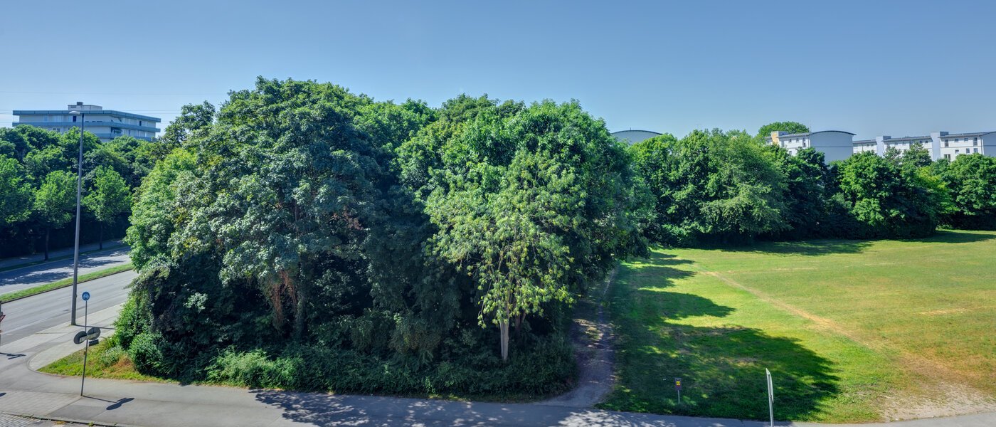 studio München Am Hart 01 vue 14506