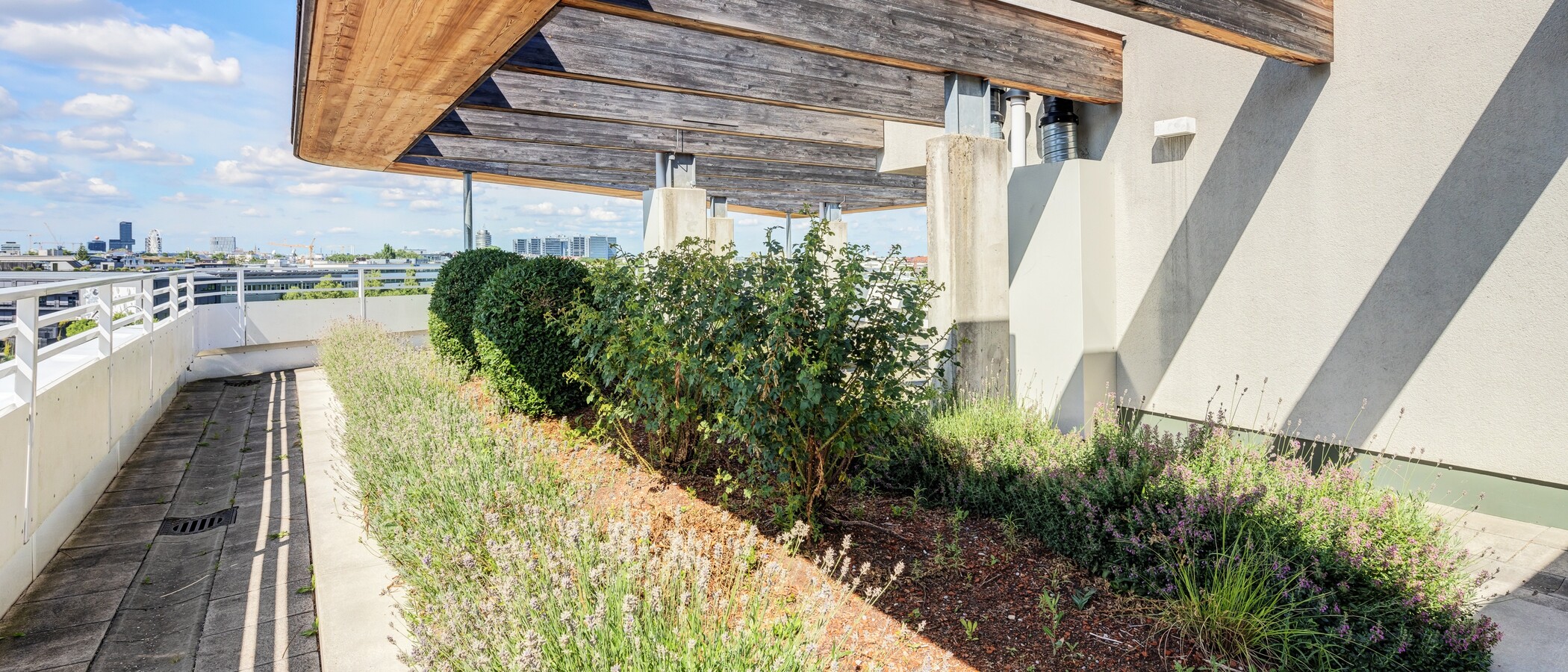 appartement München Berg am Laim 03 terrasse commune  14522