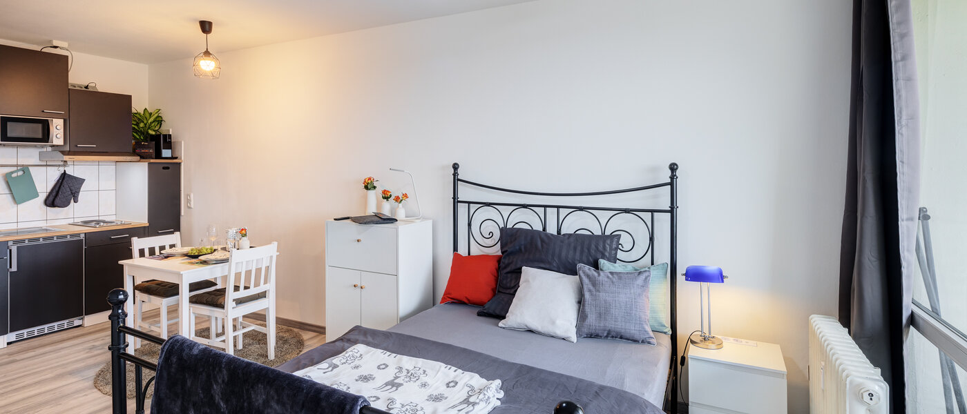 appartement München Haidhausen 01 chambres 14533