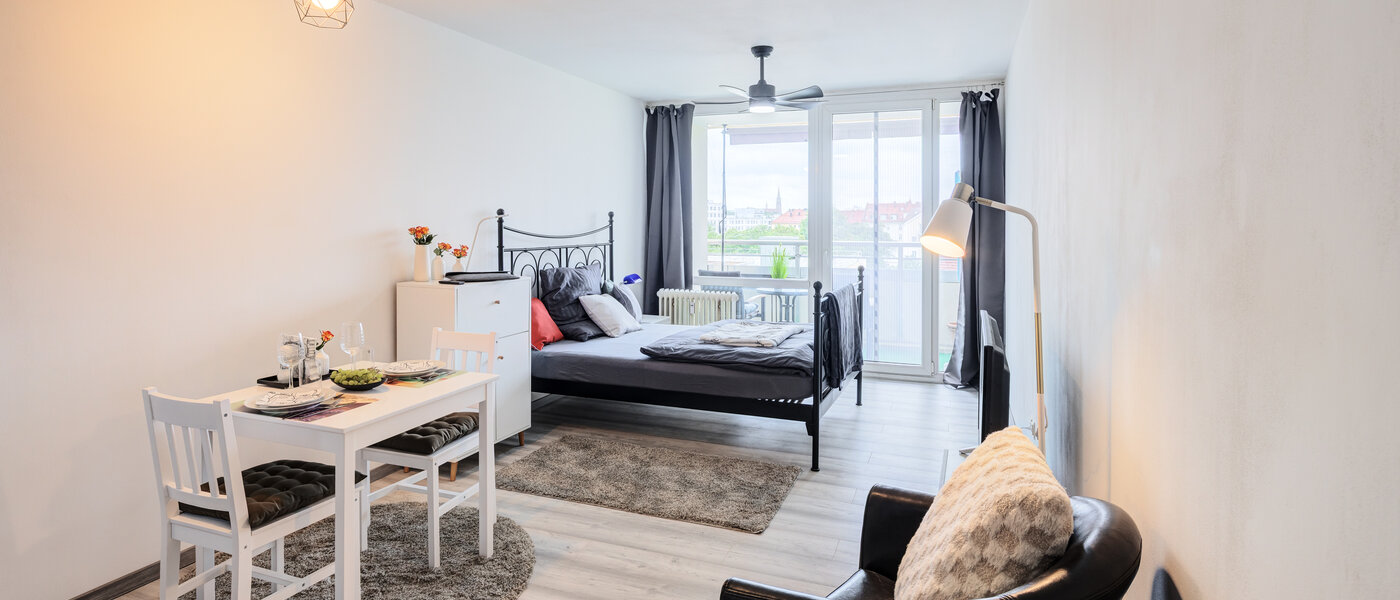 appartement München Haidhausen 01 pièce à vivre 14533