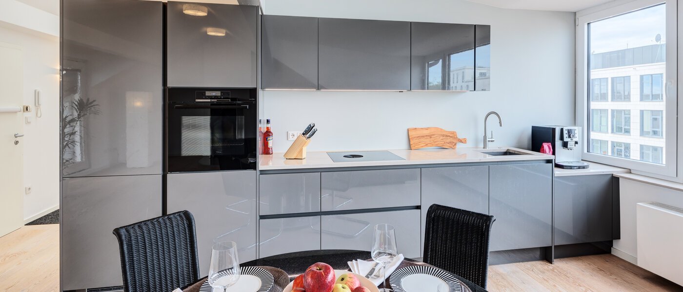 appartement sous les toits München Maxvorstadt 01 cuisine 14568