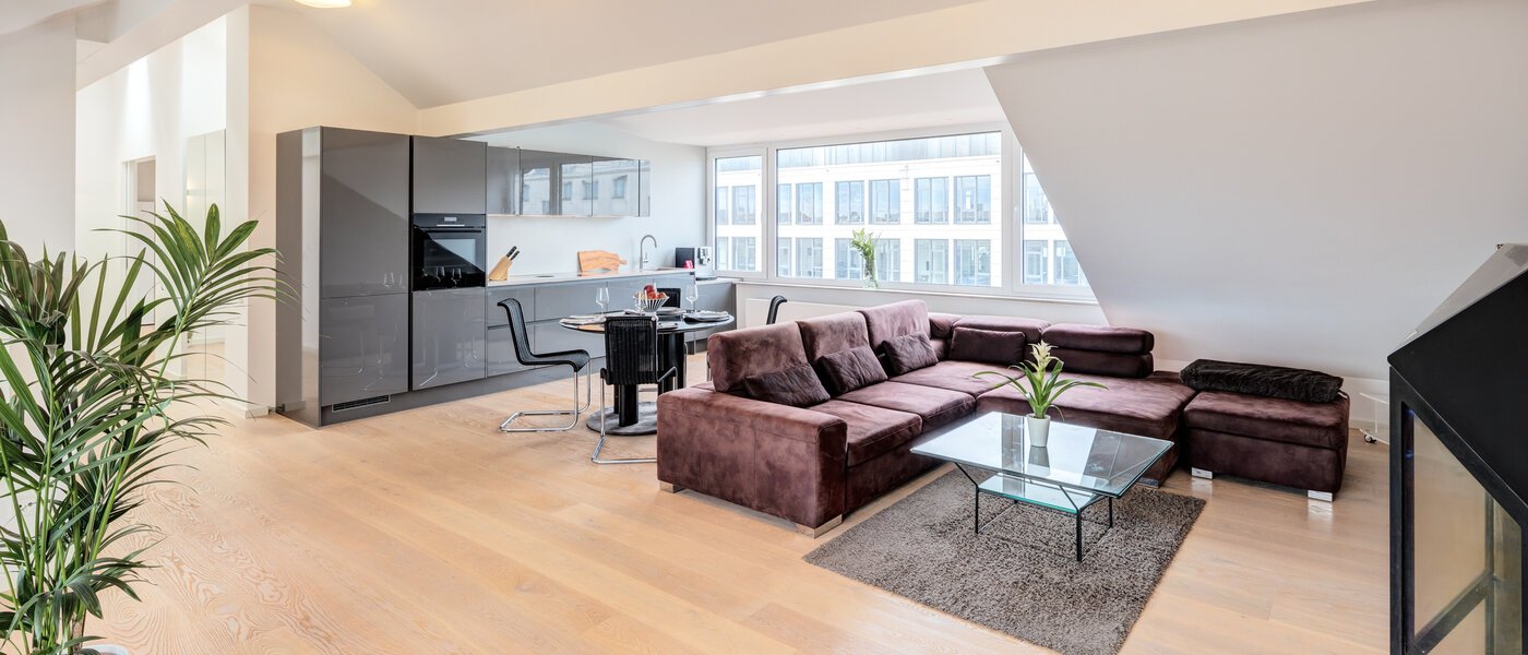 appartement sous les toits München Maxvorstadt 01 pièce à vivre 14568